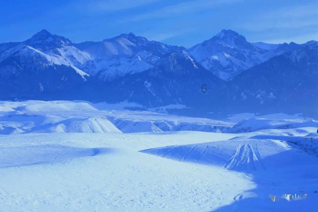 成都双流区丹秋美亚学校好不好?怎么样?